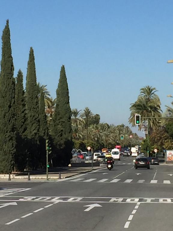 Piso Avda de la Palmera