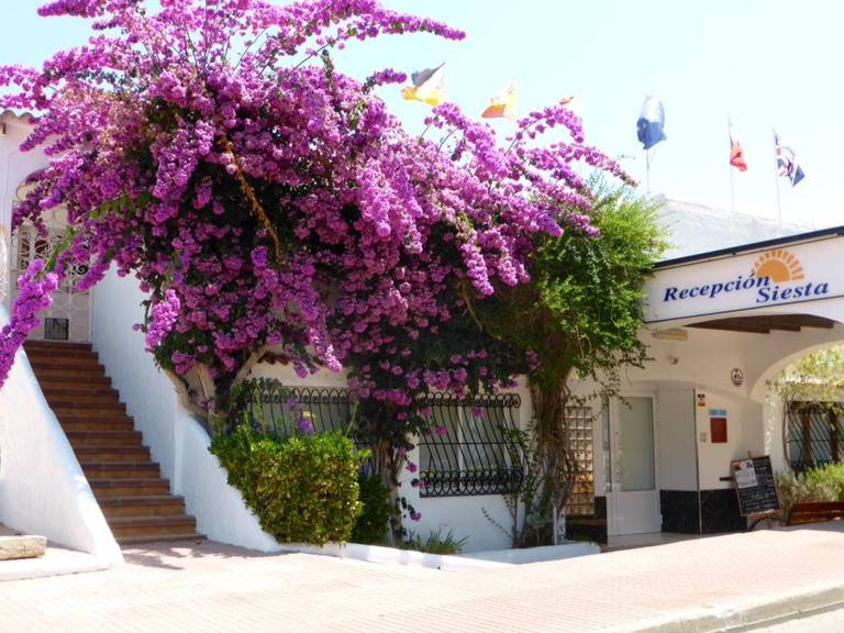 Siesta Mar