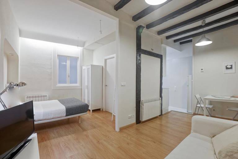 SanSebastianForYou / Sirimiri Apartment