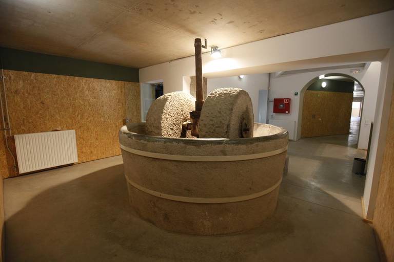 Alberg Moli de Sant Oleguer