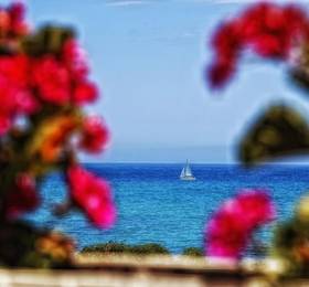 Pension Provenzal в Мохакаре
