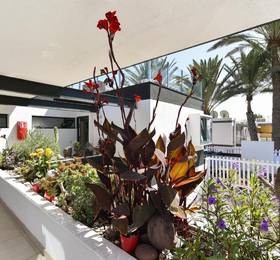 Maspalomas Beach Apartment Charca 1 в Маспаломасе