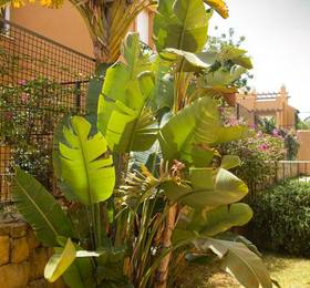 Туры в Villas Altos De Marbella в Испании