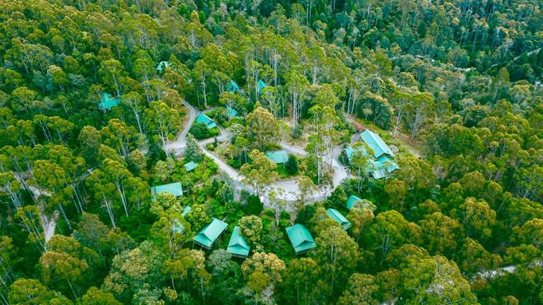 Lemonthyme Lodge