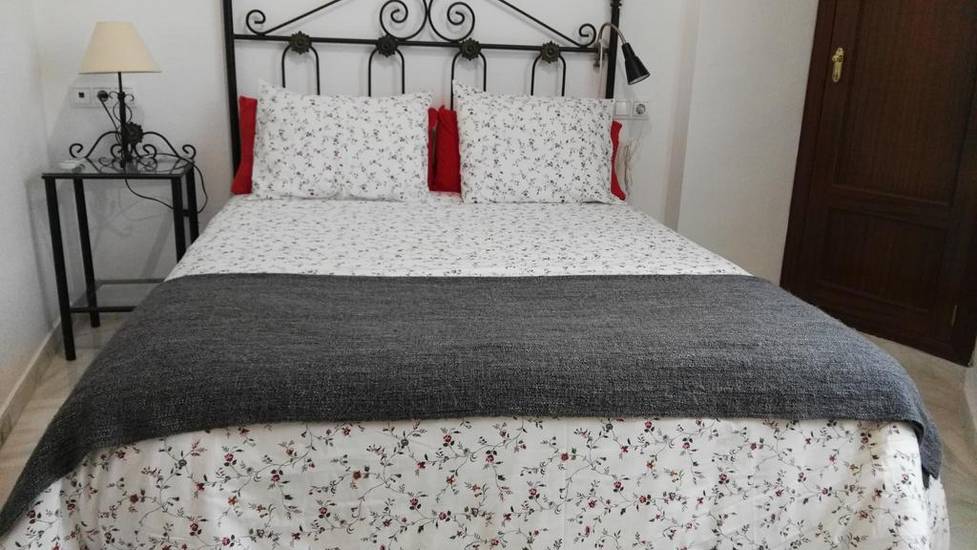 Fan Flat Rosaleda Испания, Малага