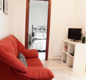 Fan Flat Rosaleda в Малаге