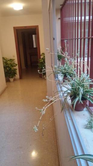 Hostel Ciudad Jardin Испания, Малага