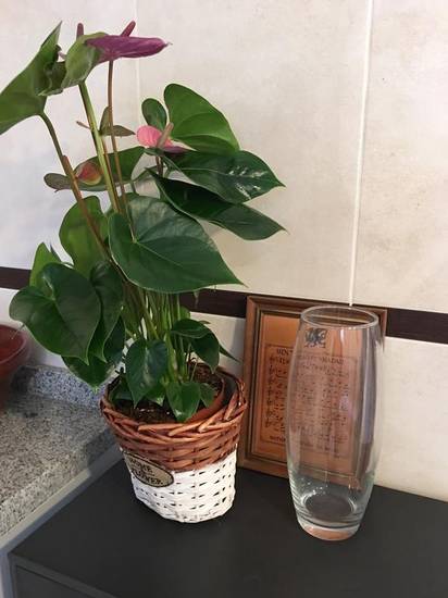 Apartamento Alameda Capuchinos Испания, Малага