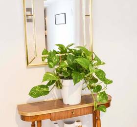 Letmalaga Store Carts 512A в Малаге