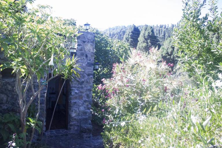 Casa Rosalia