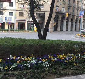 Туры в Apartment Barri Vell в Испании