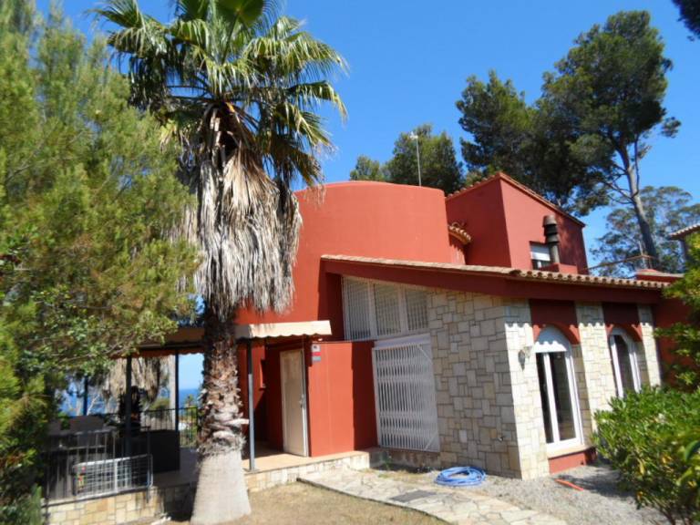 Dali's Style House