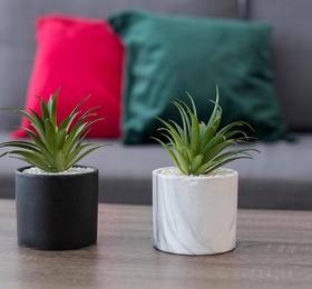Туры в Apartmento Playa de la Victoria в Испании