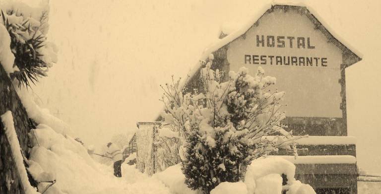 Hostal Restaurante Asador Panart