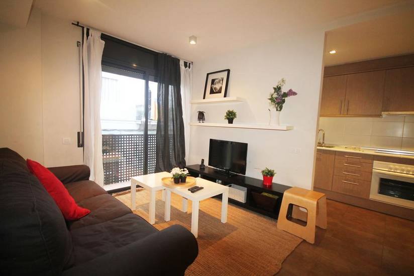 Barcelona Downtown Apartments Испания, Барселона