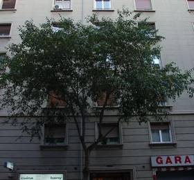 Туры в Atic Barcelona в Испании