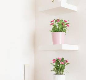 Отдых в Cappuccino 36 House in Venezia - Италия, Венеция