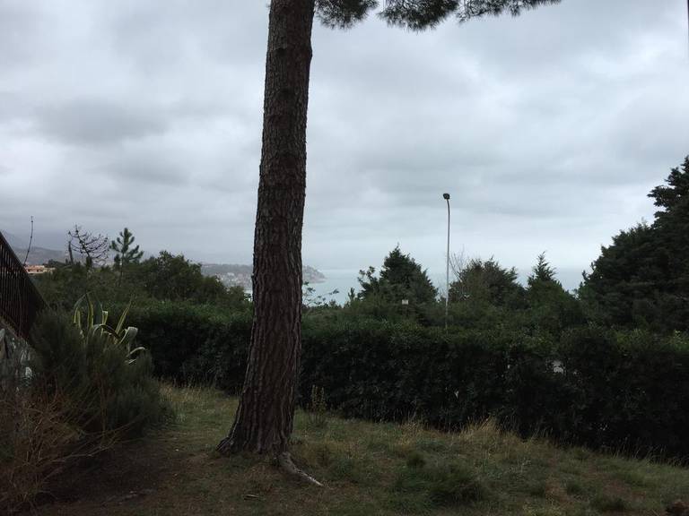 Oasi di Pace