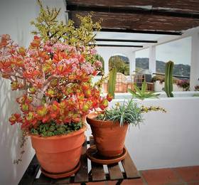 Туры в Holiday Home Tranquilidad в Испании