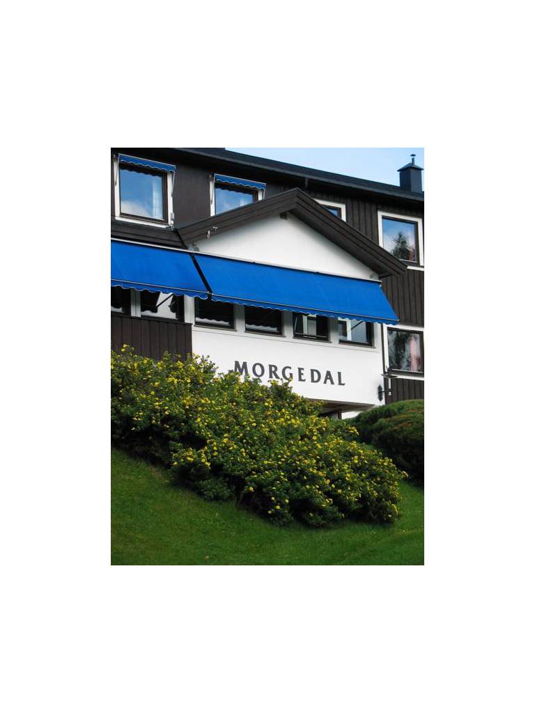Morgedal