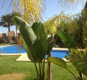 Townhouse Los Olivos M в Альтеа