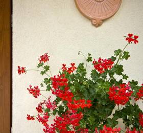 Agritur Pra Sec Apartments в Тренто