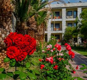Iris Hotel в Чанаккале