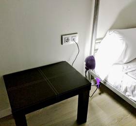 Туры в NWT Paradise Urban Hostel в Испании