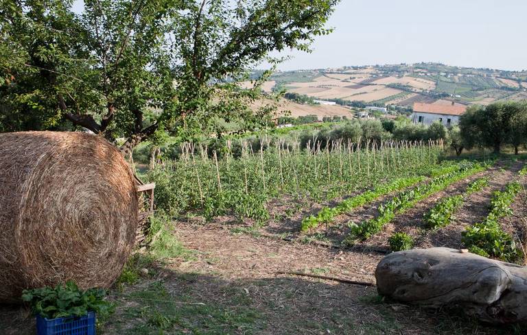 Bio Agriturismo Terra di Ea