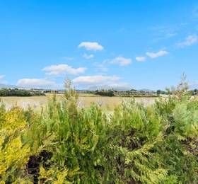 Отдых в MVH-Villa Con vistas a la bahia en Alcudia - Испания, Алькудия