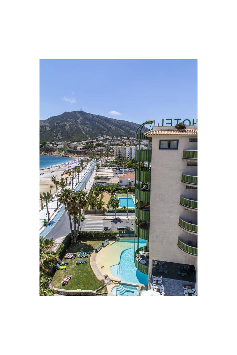 Kaktus Albir