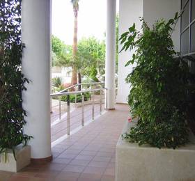 Apartamentos Pintor Ribera в Альбире