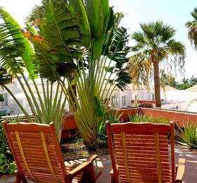 Apartament Kwiatowy Island Village в Адехе