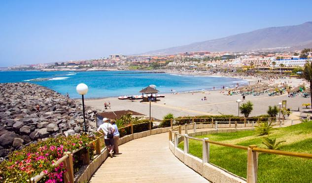 Apartment Playa Torviscas