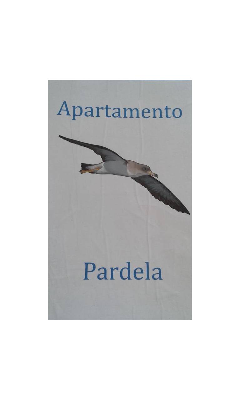 Apartamento Pardela