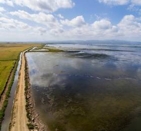 Туры в Alojamiento vacacional en el Delta del Ebro в Испании