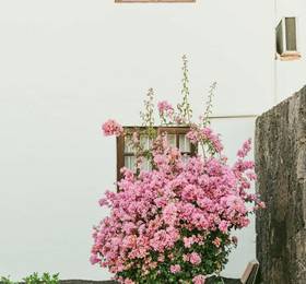 Duplex Joan в Пуэрто-дель-Кармене