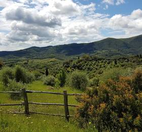 Отдых в Borgo Belvedere - Италия, Суверето