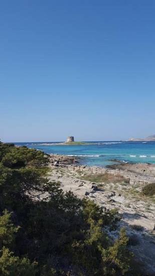 Casa vacanza Golfo dell'Asinara Италия, Сорсо