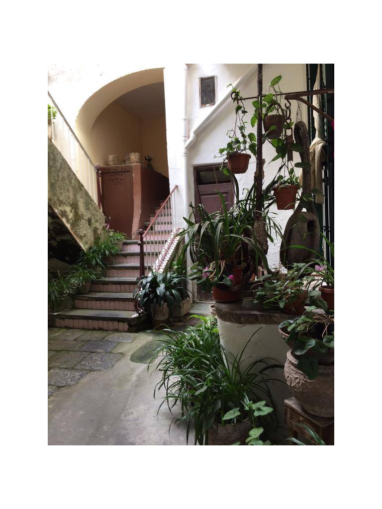 Casa Vacanza Miele