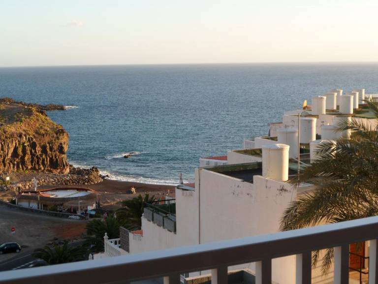 Aguaviva
