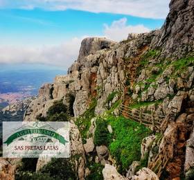 Туры в Agriturismo Sas Pretas Latas в Италии