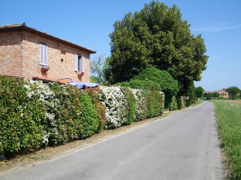Appartamenti Fattoria la Casina