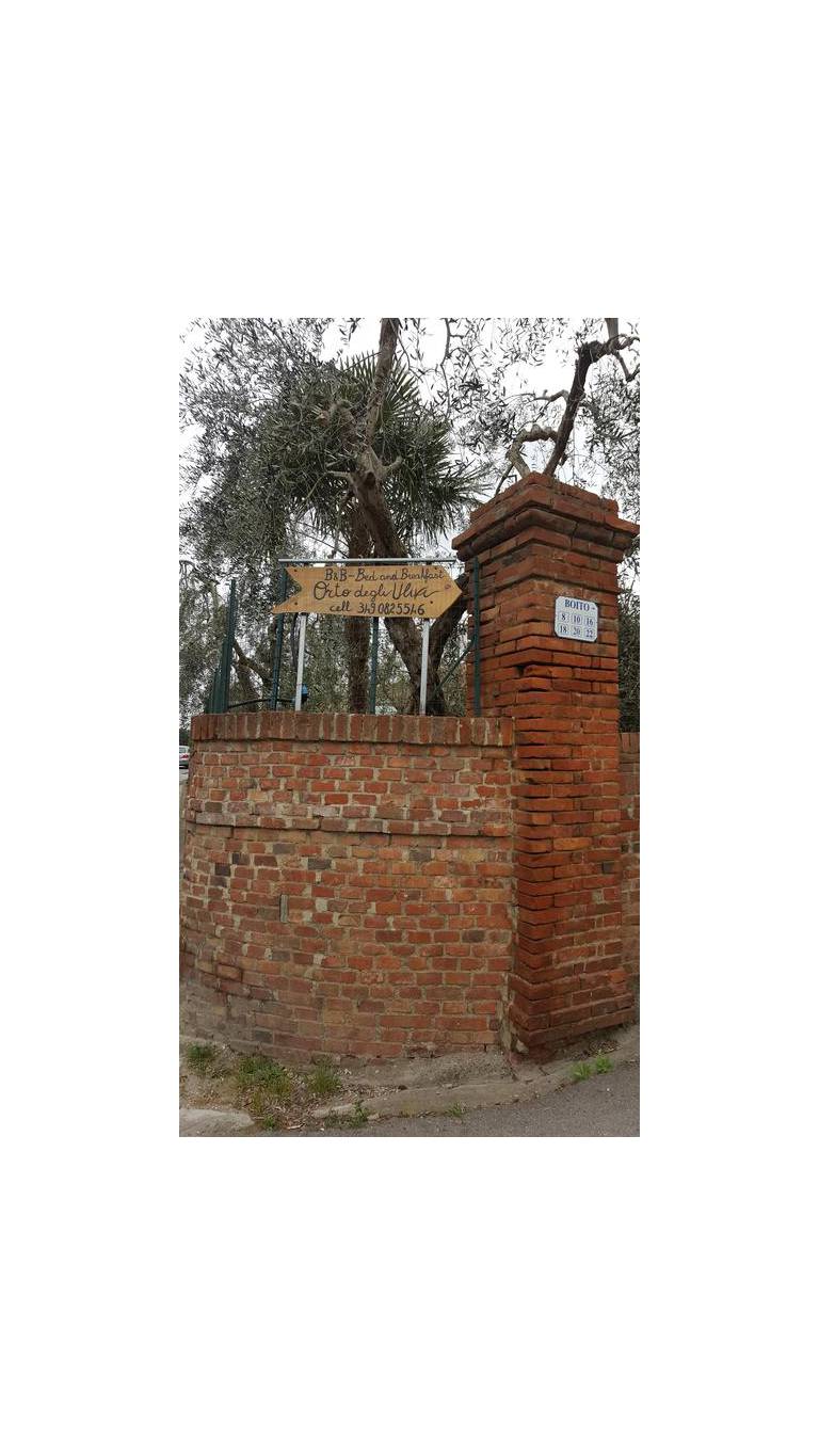Orto degli Ulivi