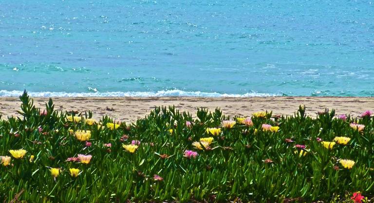 Maamoura Beach House