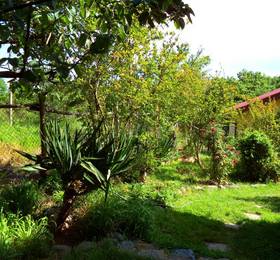 Отдых в Guest House Fanny 2 - Болгария, Синеморец