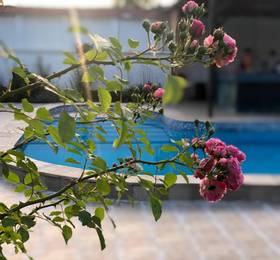 Galeria Apartments в Пловдиве