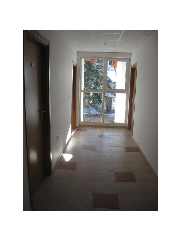 Apartment Forest View