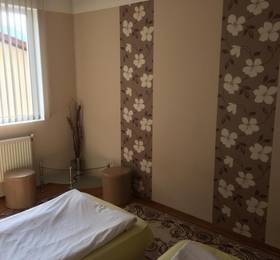 Mira Guest House в Добриниште