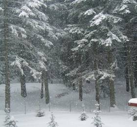 Отдых в Apartments Borovets - Болгария, Боровец